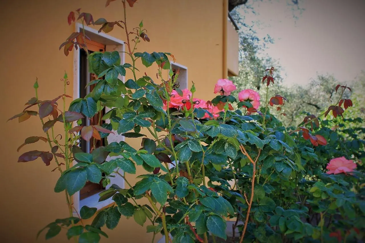 Casa Ortensia مالتشيزينيه 0*,  إيطاليا